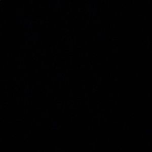 Meet your Posher, Annie